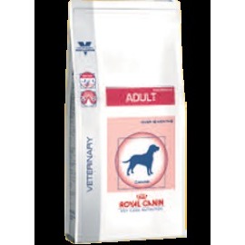 Royal Canin Adult Skin Digest 10kg