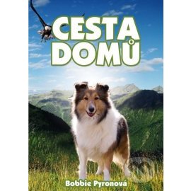 Cesta domů