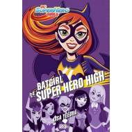 Batgirl na Super Hero High - cena, porovnanie
