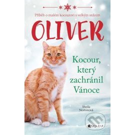 Oliver Kocour, který zachránil Vánoce