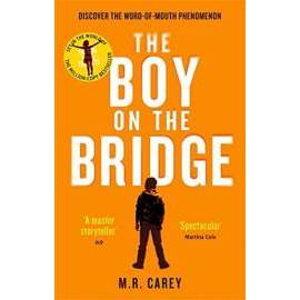 The Boy on the Bridge