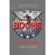 Theodore Boone The Accused - cena, porovnanie