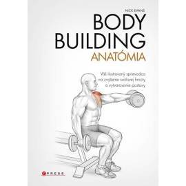 Bodybuilding - anatómia