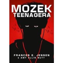 Mozek Teenagera