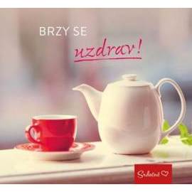 Brzy se uzdrav!