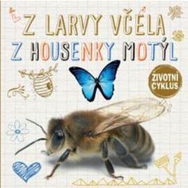 Z larvy včela Z housenky motýl