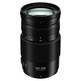 Panasonic Lumix G-VARIO 100-300mm f/4-5.6 II Power O.I.S.