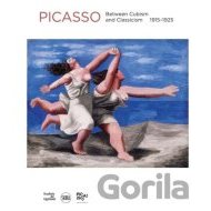 Picasso - Between Cubism and Classicism 1915-1925 - cena, porovnanie
