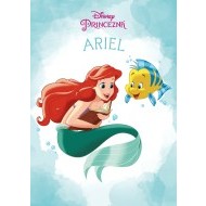Princezná - Ariel - cena, porovnanie