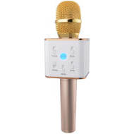 Eljet Karaoke Mikrofón Performance zlatý - cena, porovnanie