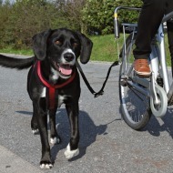 Trixie Vodiaci set na bicykel 1ks - cena, porovnanie