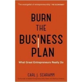 Burn The Business Plan