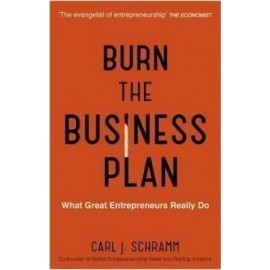 Burn The Business Plan