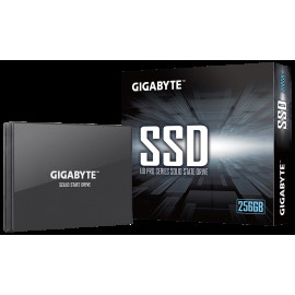 Gigabyte GP-GSTFS30256GTTD 256GB