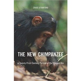 New Chimpanzee