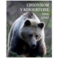 Chodníkom v kosodrevine - cena, porovnanie