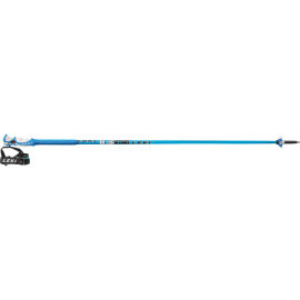 Leki Blue Bird Carbon S