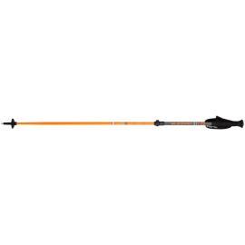 Blizzard Race Telescopic 2 Section