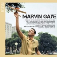 Gaye Marvin - Icon - cena, porovnanie