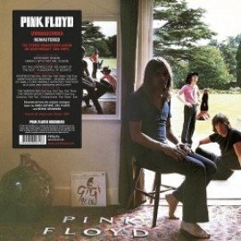 Pink Floyd - Ummagummma - 2011 Remastered 2LP