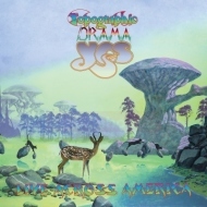 Yes - Topographic Drama: Live Across America 2CD - cena, porovnanie