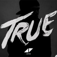 Avicii - True LP - cena, porovnanie