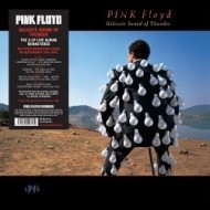 Pink Floyd - Delicate Sound Of Thunder 2LP - cena, porovnanie