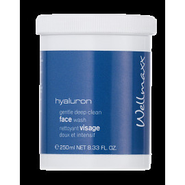 Wellmaxx Hyaluron Gentle Deep Clean Face Wash 250ml