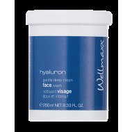 Wellmaxx Hyaluron Gentle Deep Clean Face Wash 250ml - cena, porovnanie
