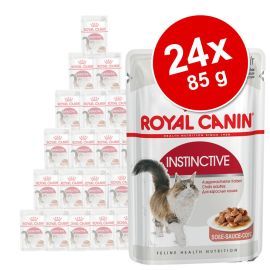 Royal Canin Instinctive Ageing +12 24x85g