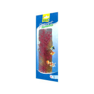 Tetra Red Foxtail 23cm