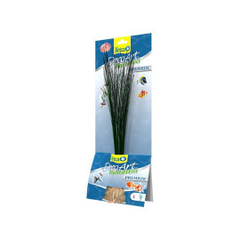 Tetra Hairgrass 35cm