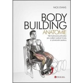 Bodybuilding anatomie
