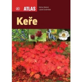 Keře - Atlas