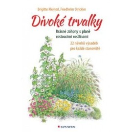 Divoké trvalky