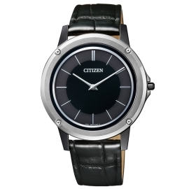 Citizen AR5024