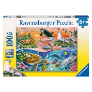 Ravensburger Pestrý oceán - 100 - cena, porovnanie