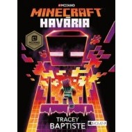 Minecraft - Havária - cena, porovnanie