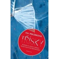 Třísky - cena, porovnanie