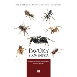 Pavúky Slovenska