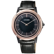 Citizen AR5025 - cena, porovnanie