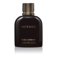 Dolce & Gabbana Intenso Pour Homme 125ml - cena, porovnanie