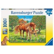 Ravensburger Kone na pasienku - 100 - cena, porovnanie