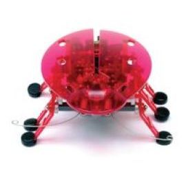 Hexbug Beetle