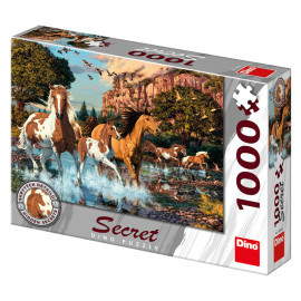 Dino Kone secret collection 1000