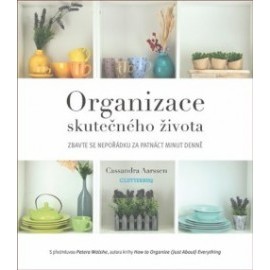 Organizace skutečného života