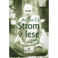 Strom v lese - cena, porovnanie