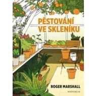 Pěstování ve skleníku - cena, porovnanie