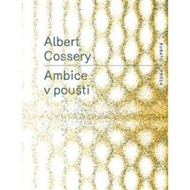 Ambice v poušti