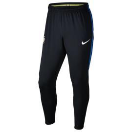 Nike Tréningové nohavice Inter Milano